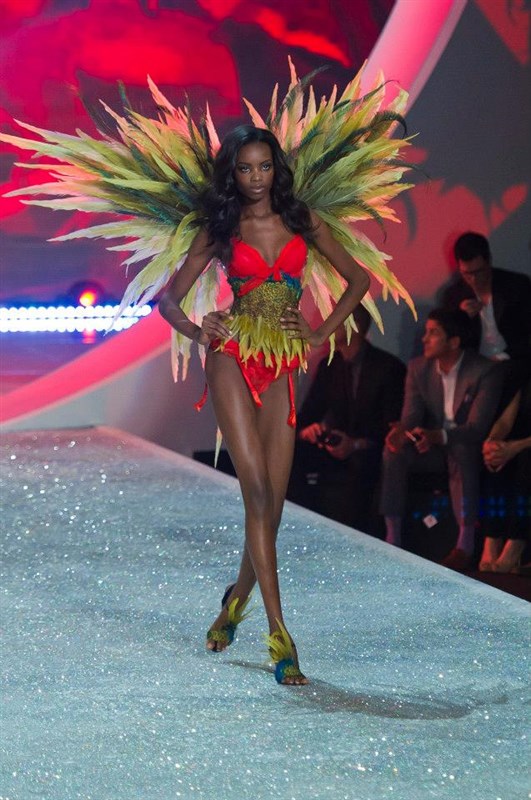 Victoria s Secret Fashion Show 2013